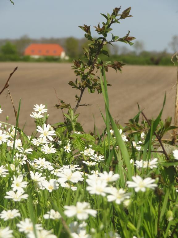 Land & Meer Hasselberg  Extérieur photo